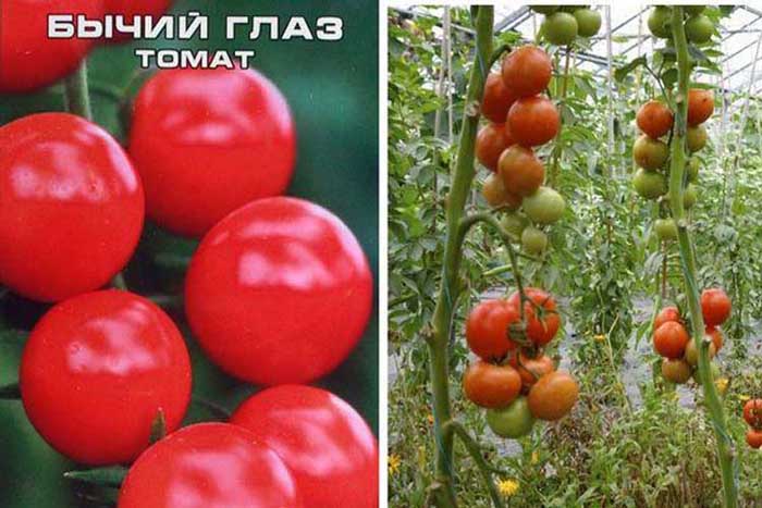 38 сортов томатов черри – описание с фото