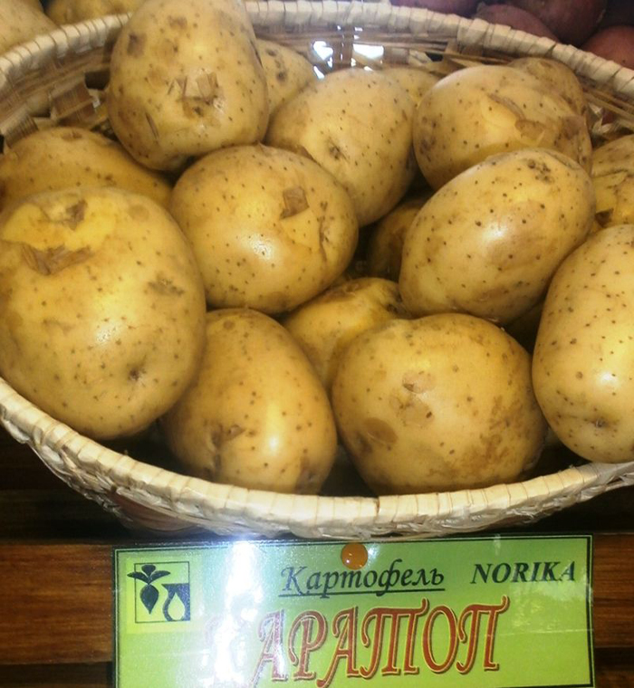 66 сортов картофеля – рейтинг 2022. Названия с фото