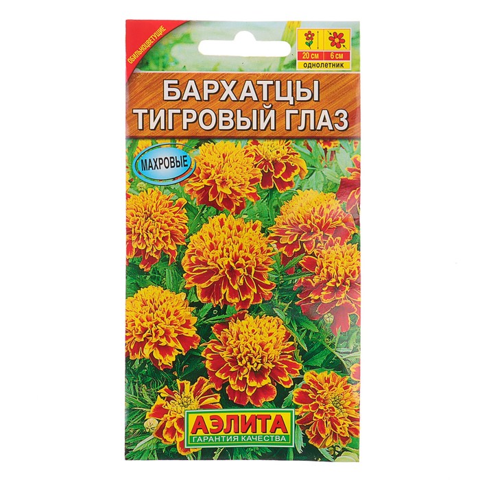 Схема посадки низкорослых бархатцев в открытый грунт