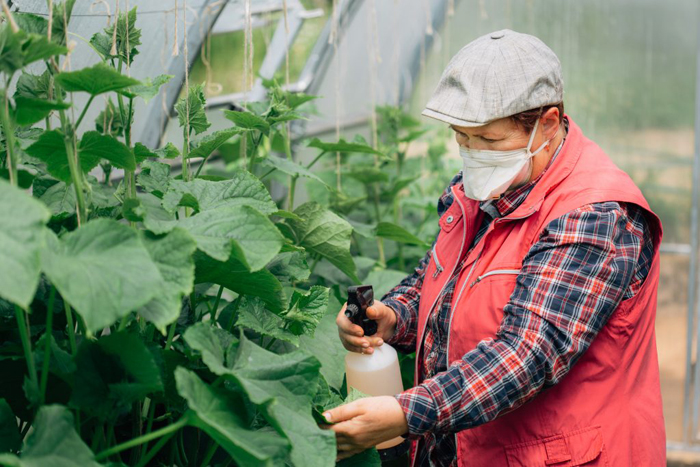 Биопрепараты для растений, сада и огорода – рейтинг 2022 года