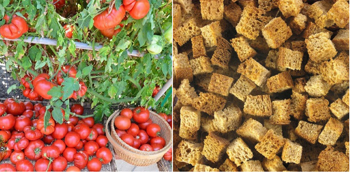 Что положить в лунки к помидорам: удобрения при посадке томатов
