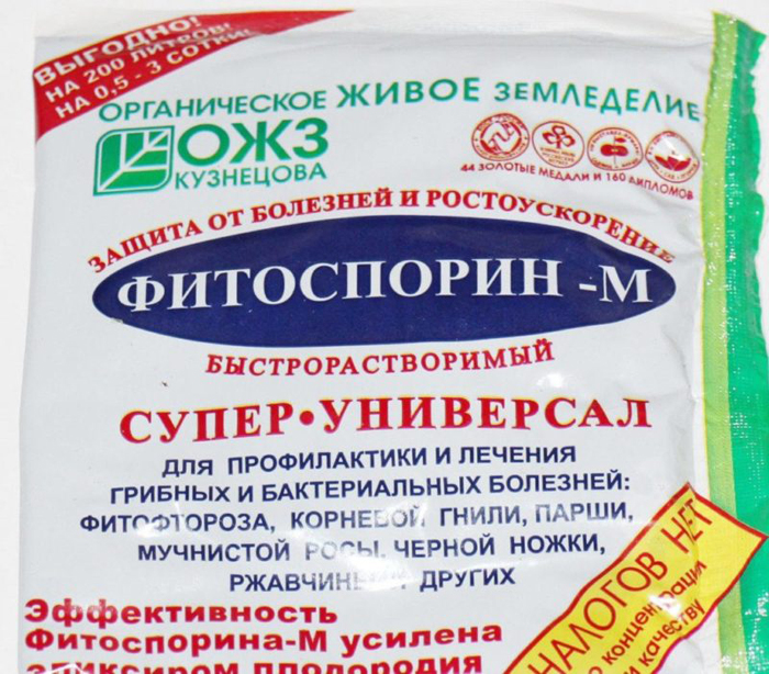 Что положить в лунки к помидорам: удобрения при посадке томатов