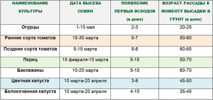 Что посадить на рассаду или в теплицу в марте 2023 года