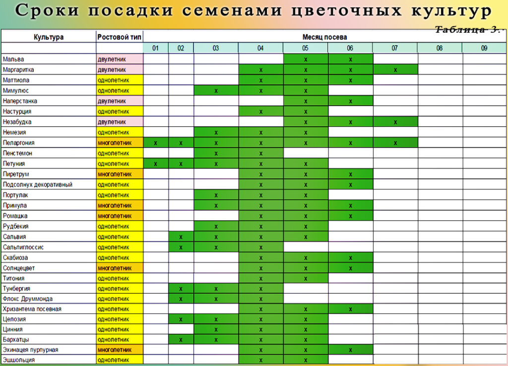 Что посадить на рассаду или в теплицу в марте 2023 года