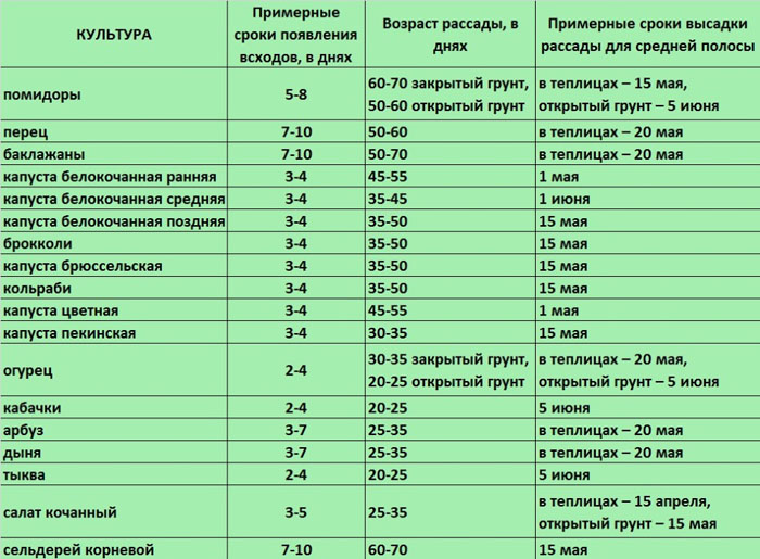 Что посадить на рассаду или в теплицу в марте 2023 года