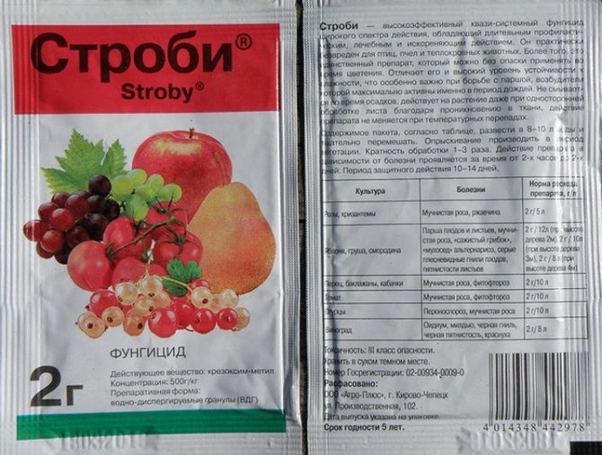 Фунгицид Фалькон — инструкция по применению, отзывы
