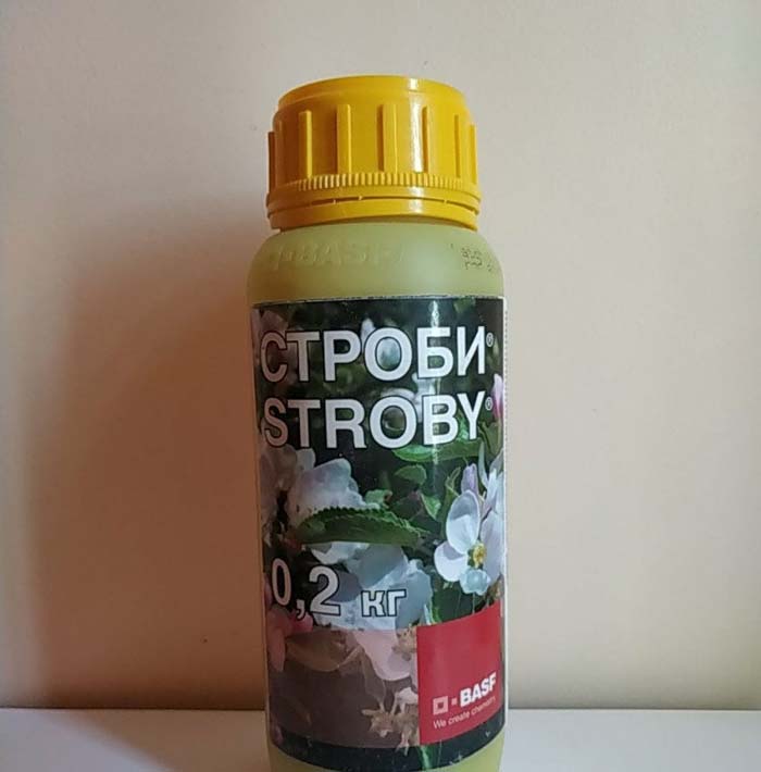 Фунгицид Фалькон — инструкция по применению, отзывы