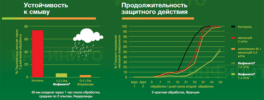 Фунгицид Инфинито — инструкция по применению и отзывы