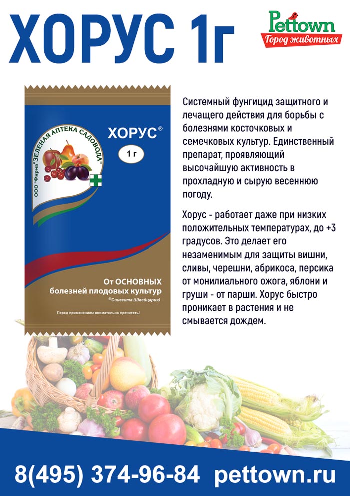 Фунгицид Свитч — инструкция по применению и отзывы