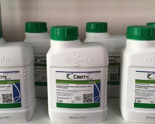 Фунгицид Свитч — инструкция по применению и отзывы