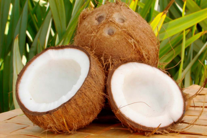 Где и как растут кокосы (40 фото), сорта, вкус, выращивание и применение