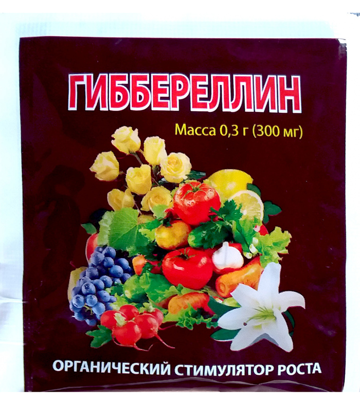 Гортензия (100 фото): описание, сорта, выращивание в открытом грунте и домашних условиях