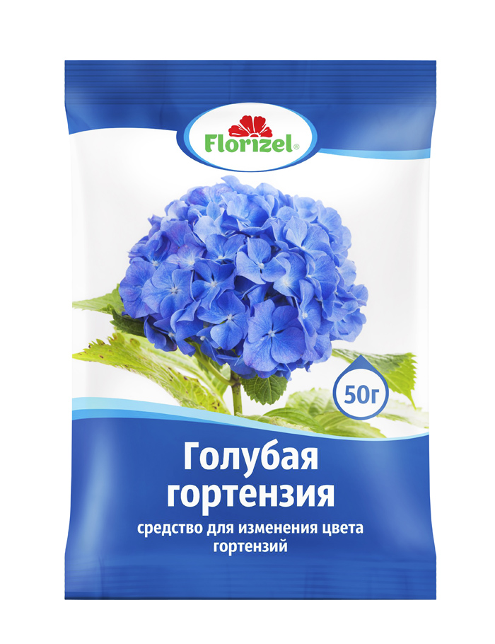 Гортензия (100 фото): описание, сорта, выращивание в открытом грунте и домашних условиях