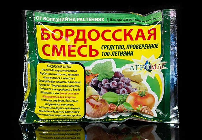 Груша медовая (25 фото) — описание сорта и отзывы