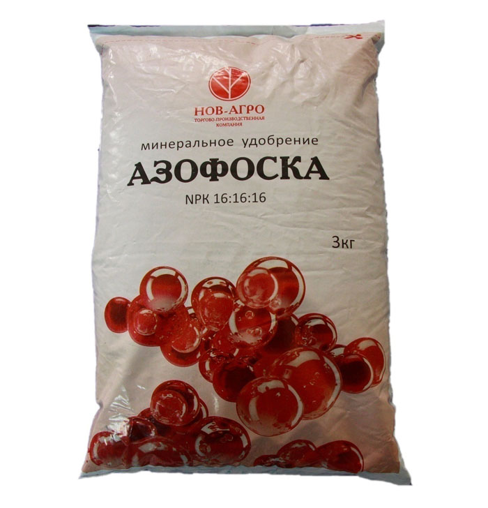 Хлороз винограда