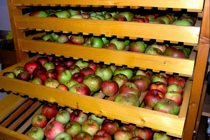 Хранение яблок на зиму — как сохранить яблоки до весны в домашних условиях