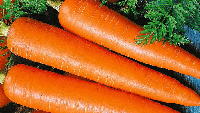 Как хранить морковь — 20 эффективных способов