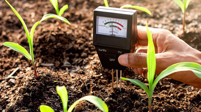 Как и чем раскислить почву на огороде — 6 эффективных методов