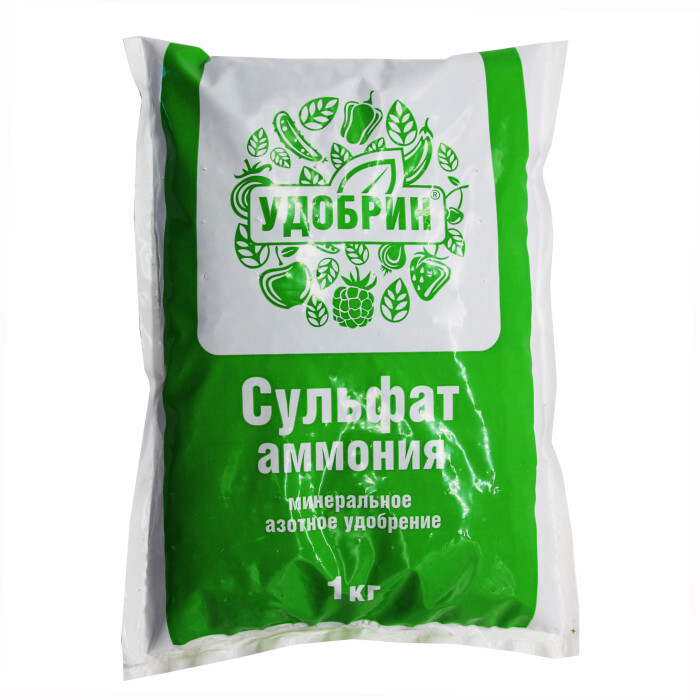 Как избавиться от проволочника – 100% эффективные методы и средства