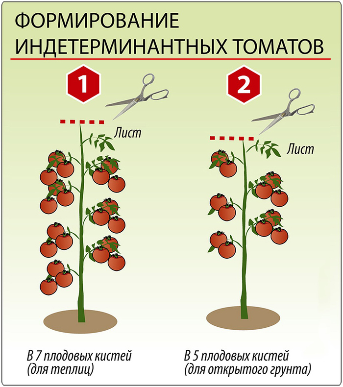 Де барао черный схема посадки