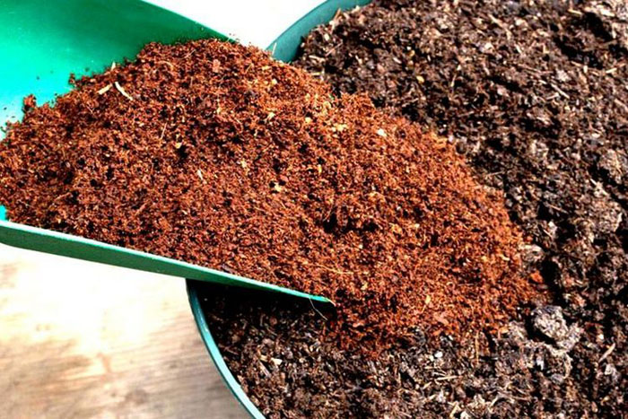 Как подкислить почву – основные способы для голубики, гортензии, хвойных