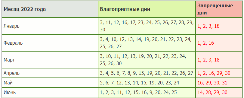 Благоприятные дни пересадки фиалок в в 2024