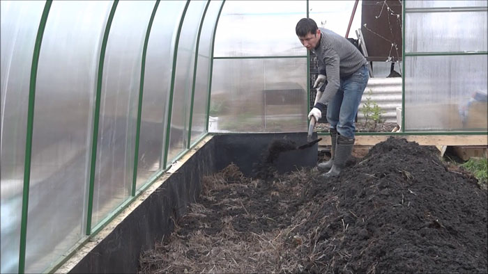 Как вырастить арбуз и дыню в теплице: инструкция по посадке бахчевых