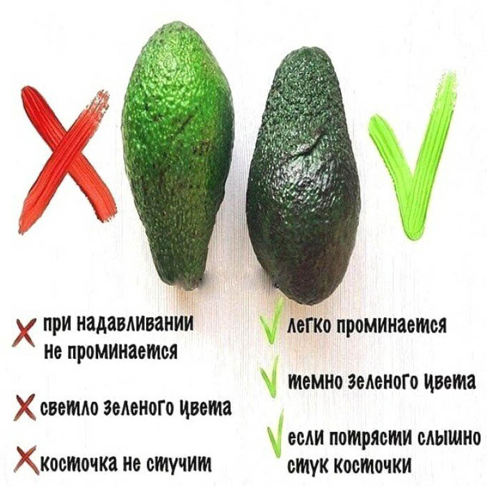Как вырастить авокадо из косточки — 100% эффективный метод