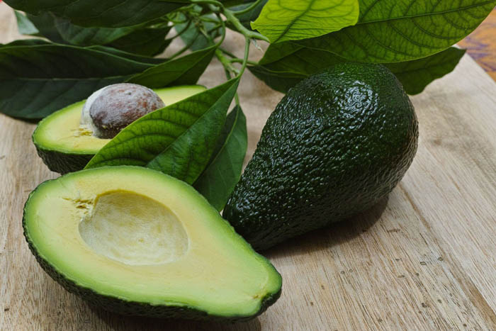 Как вырастить авокадо из косточки — 100% эффективный метод