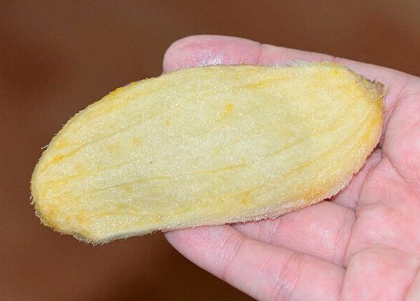 Семена манго картинки