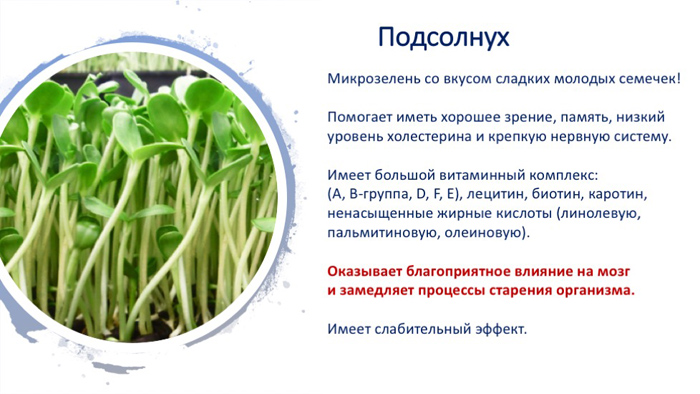 Проект про микрозелень