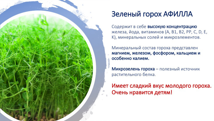 Проект микрозелень в детском саду