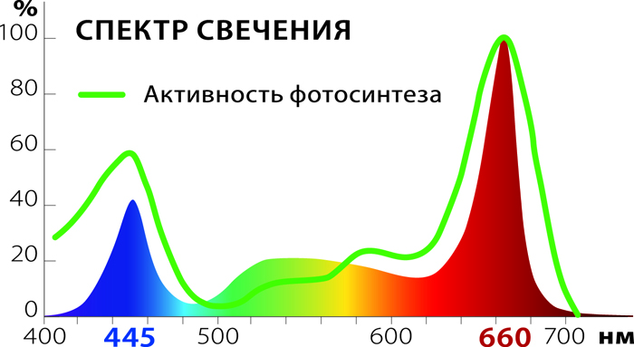 Какие лампы нужны для рассады