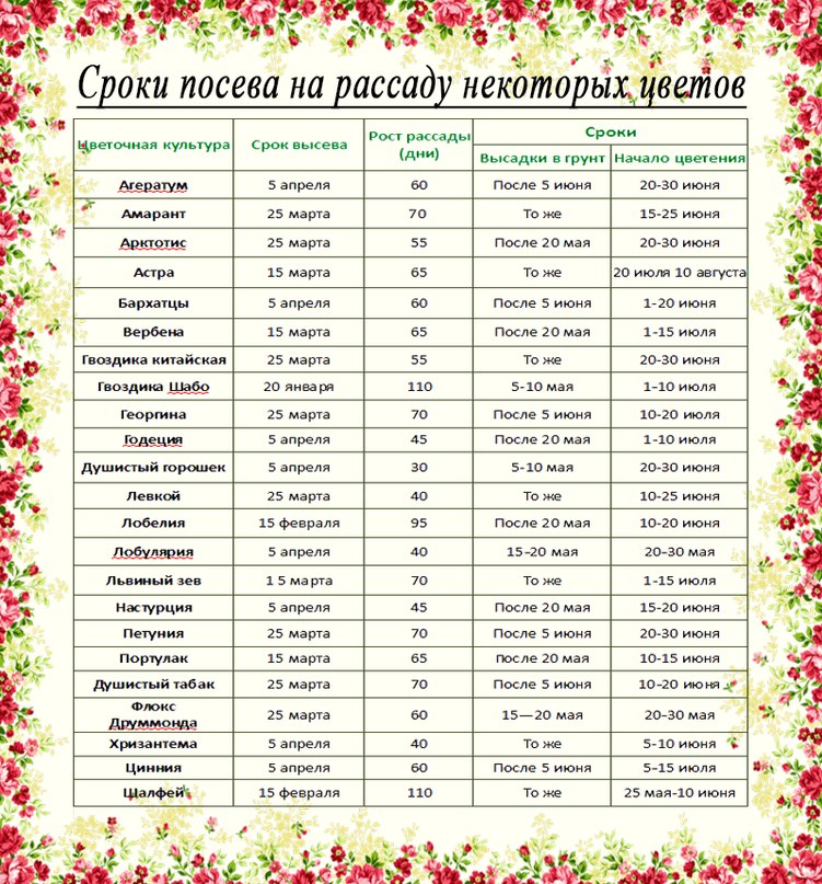 Какие лампы нужны для рассады