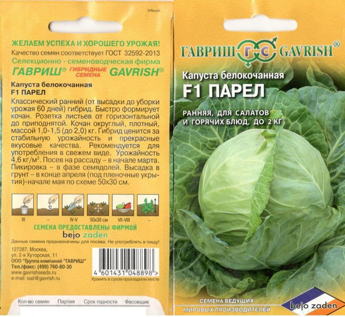 Капуста Парел — описание сорта, фото, выращивание в России
