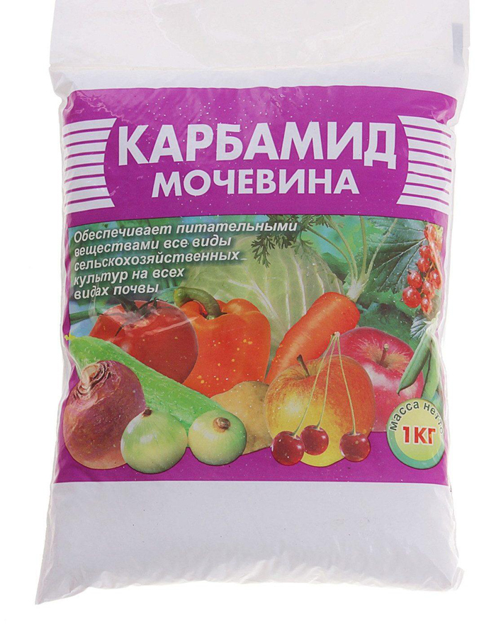 Картофель Бриз (35 фото) – описание сорта и отзывы