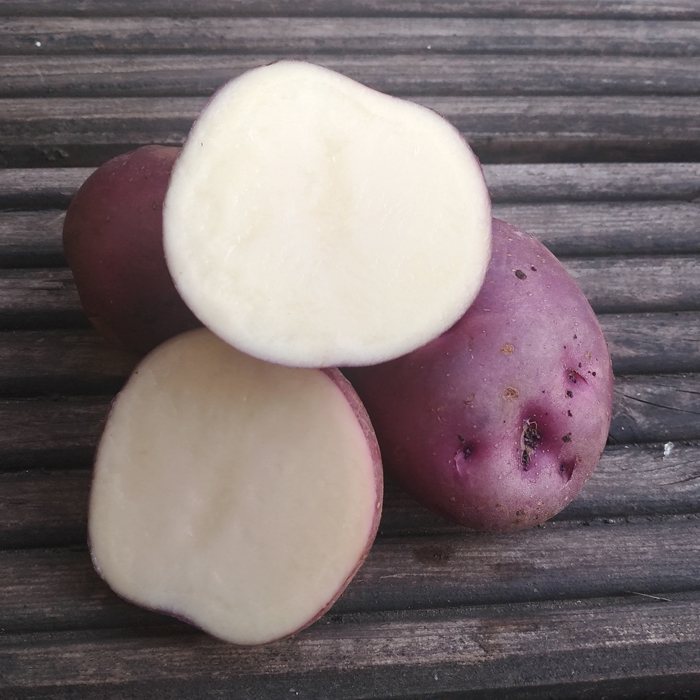 Картофель синеглазка (25 фото) — описание сорта, посадка и уход
