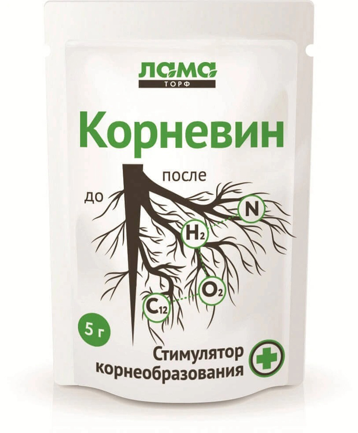 Клубника Купчиха — описание сорта, фото, отзывы