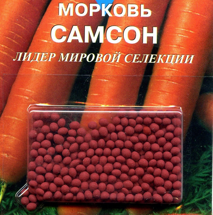 Когда и как сажать морковь в 2023 году – сроки и технология посадки