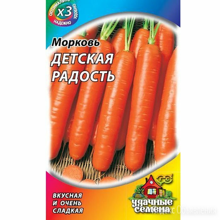 Когда и как сажать морковь в 2023 году – сроки и технология посадки