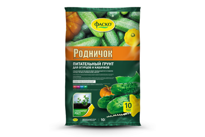 Когда и как сажать огурцы на рассаду в 2023 году