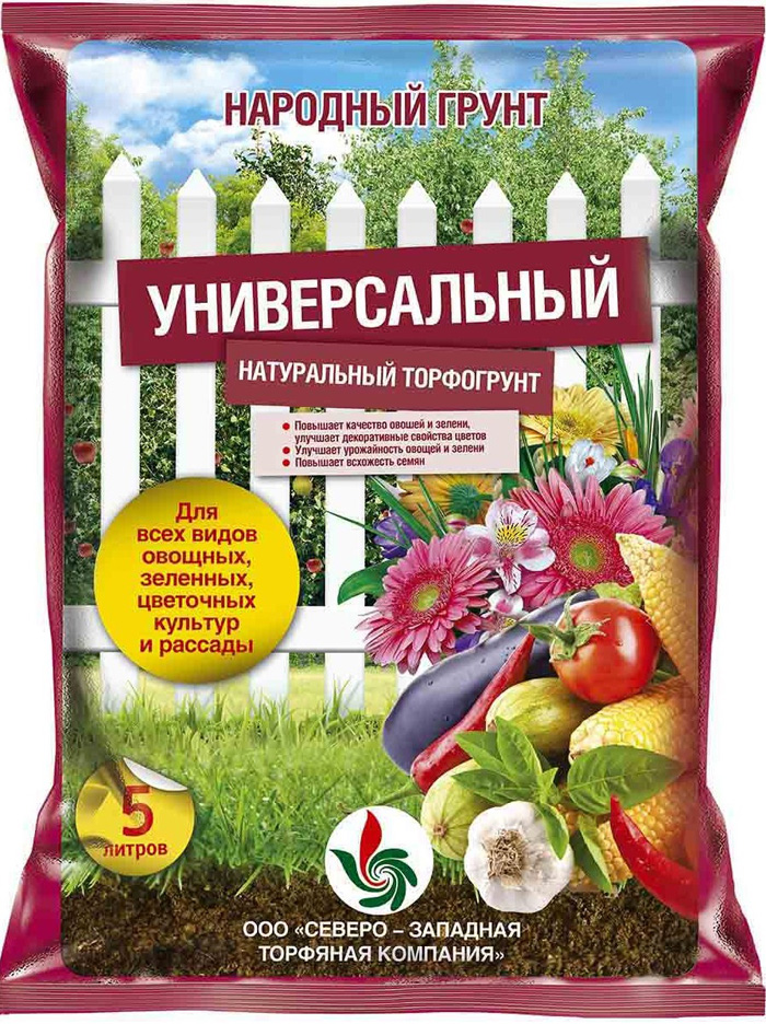 Когда сажать эшшольцию в 2023 году на рассаду и как правильно это делать