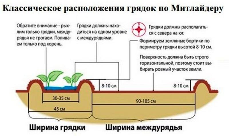 Посадка картофеля в грядки схема