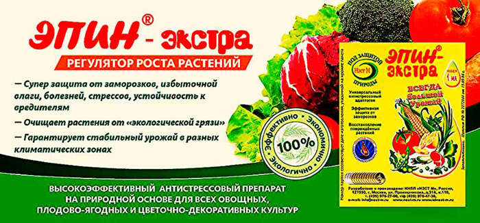 Когда сажать клубнику в Подмосковье в 2023 году