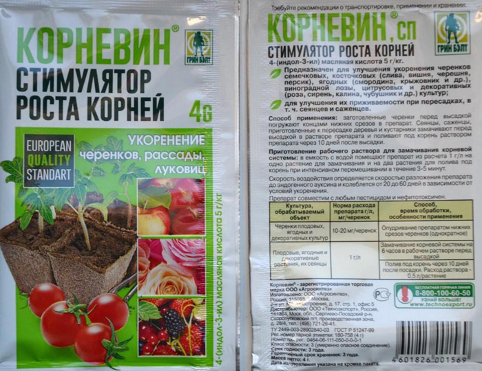 Когда сажать клубнику в Подмосковье в 2023 году