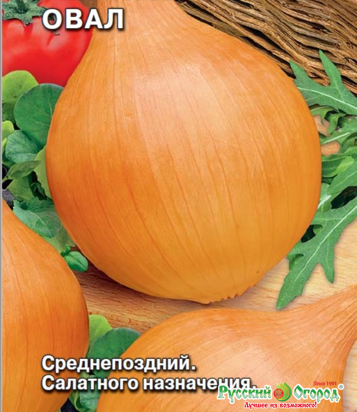 Когда сажать лук на рассаду в 2023 году