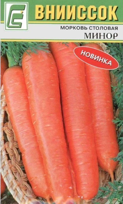 Когда сажать морковь осенью 2022