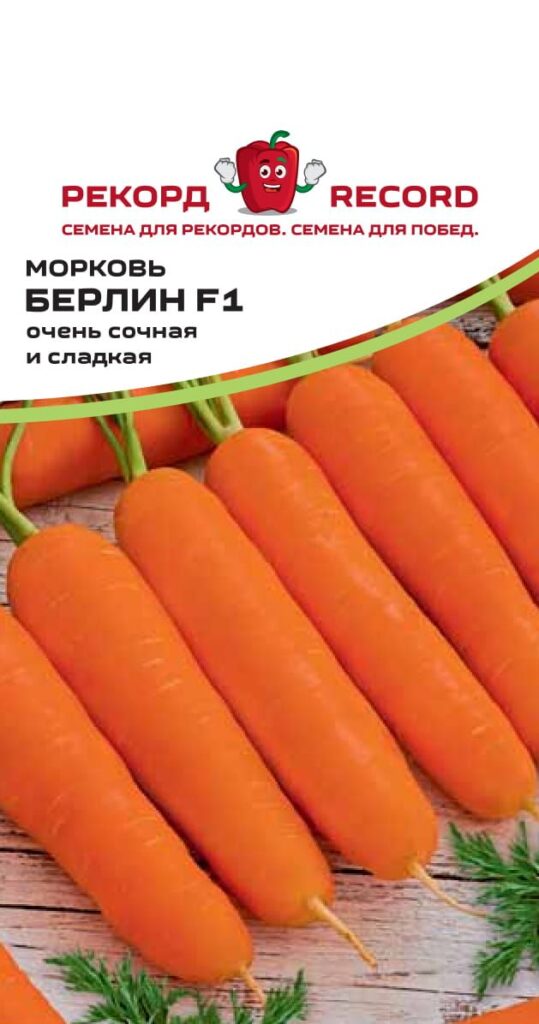 Когда сажать морковь осенью 2022