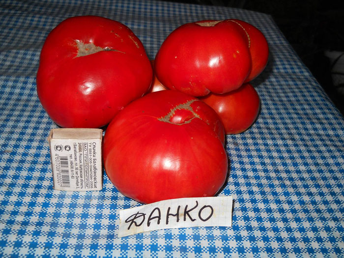 Когда сажать помидоры на Урале в 2022 году