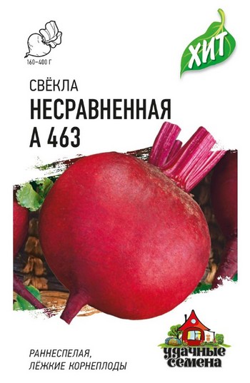 Когда сажать свеклу в Сибири в 2023 году